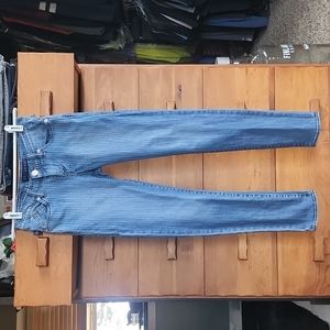 GUC Rock & Republic: Striped Berlin Skinny Stretch Jeans, Blue Stripe Fade